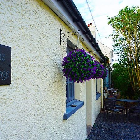 Staycation At Pine Cottage, A Newly Refurbished Holiday Cottage Goodwick Екстер'єр фото