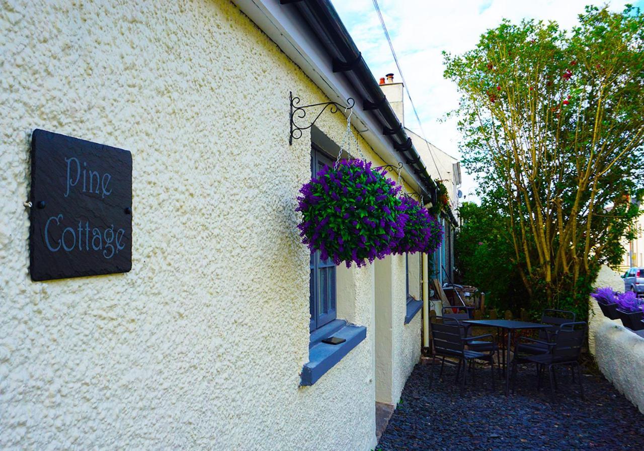 Staycation At Pine Cottage, A Newly Refurbished Holiday Cottage Goodwick Екстер'єр фото